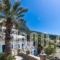 H Hotel Ambiance Studios_best prices_in_Apartment_Dodekanessos Islands_Kalimnos_Kalimnos Rest Areas