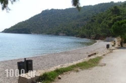 Villa Siderona in Thasos Rest Areas, Thasos, Aegean Islands