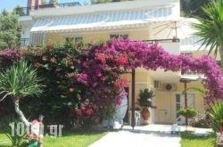 Ianos in Athens, Attica, Central Greece