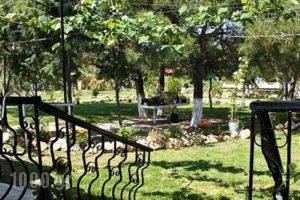 Studios Dimitraki_best deals_Hotel_Aegean Islands_Thasos_Thasos Chora