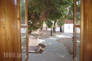 Guesthouse Arsinoe_lowest prices_in_Room_Piraeus Islands - Trizonia_Methana_Methana Rest Areas