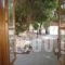 Guesthouse Arsinoe_lowest prices_in_Room_Piraeus Islands - Trizonia_Methana_Methana Rest Areas