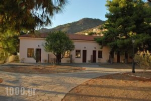 Guesthouse Arsinoe_holidays_in_Room_Piraeus Islands - Trizonia_Methana_Methana Rest Areas