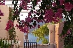 Michalis Studios in Livadia, Tilos, Dodekanessos Islands