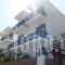 Michalis Studios_best deals_Apartment_Dodekanessos Islands_Tilos_Livadia