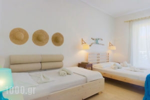 Spinos Studios_accommodation_in_Apartment_Ionian Islands_Zakinthos_Alykes