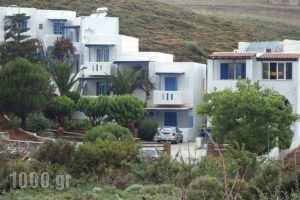 Irene Studios_accommodation_in_Apartment_Cyclades Islands_Andros_Gavrio