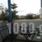 Irene Studios_best deals_Apartment_Cyclades Islands_Andros_Gavrio