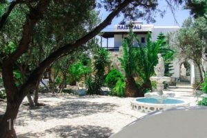 Maistrali_travel_packages_in_Cyclades Islands_Paros_Alyki