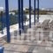 Elena Studios_holidays_in_Apartment_Cyclades Islands_Milos_Milos Rest Areas