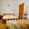 Camelia Studios_best prices_in_Apartment_Sporades Islands_Skiathos_Skiathos Chora