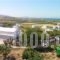 Victoria Studios_best deals_Apartment_Cyclades Islands_Naxos_Mikri Vigla