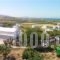 Victoria Studios_best deals_Apartment_Cyclades Islands_Naxos_Mikri Vigla
