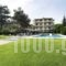 Azur_best deals_Hotel_Macedonia_Halkidiki_Kryopigi