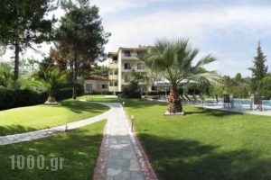 Azur_holidays_in_Hotel_Macedonia_Halkidiki_Kryopigi