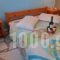 Tzivaeri Alexandros_accommodation_in_Hotel_Cyclades Islands_Naxos_Agios Prokopios