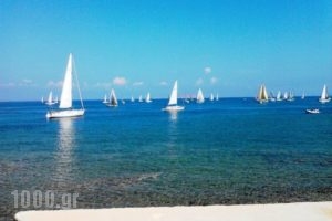 Art Boutique_travel_packages_in_Piraeus Islands - Trizonia_Agistri_Agistri Rest Areas