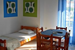 Anemos Hotel_best prices_in_Hotel_Macedonia_Halkidiki_Haniotis - Chaniotis