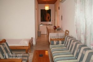 Alpha Apartments_accommodation_in_Apartment_Ionian Islands_Zakinthos_Zakinthos Rest Areas