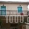 Alpha Apartments_holidays_in_Apartment_Ionian Islands_Zakinthos_Zakinthos Rest Areas