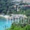 Rapanos Apartments_lowest prices_in_Apartment_Ionian Islands_Corfu_Palaeokastritsa