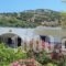 Georgia Studios_accommodation_in_Hotel_Aegean Islands_Ikaria_Ikaria Chora