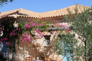 Strofilia Apartments_best deals_Apartment_Ionian Islands_Zakinthos_Zakinthos Rest Areas