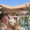 Strofilia Apartments_best deals_Apartment_Ionian Islands_Zakinthos_Zakinthos Rest Areas