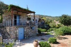 Strofilia Apartments in kato Gerakari, Zakinthos, Ionian Islands