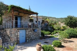 Strofilia Apartments_accommodation_in_Apartment_Ionian Islands_Zakinthos_Zakinthos Rest Areas
