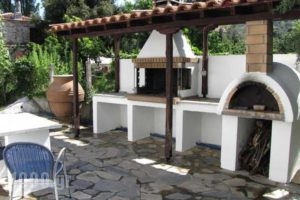 El Villa Rooms_best prices_in_Villa_Central Greece_Evia_Istiea