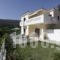 Villa Platanaki_holidays_in_Villa_Aegean Islands_Samos_Pythagorio