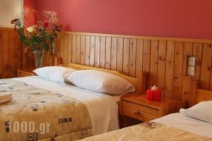 Hotel Athina_best prices_in_Hotel_Central Greece_Fokida_Delfi