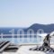 Myconian Villa Collection_accommodation_in_Villa_Cyclades Islands_Mykonos_Elia