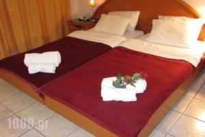 Hotel Lito_lowest prices_in_Hotel_Macedonia_Pieria_Paralia Katerinis