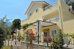Nestor Apartments in Thasos Chora, Thasos, Aegean Islands