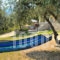 Nestor Apartments_best deals_Apartment_Aegean Islands_Thasos_Thasos Chora