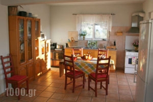 The Olive Branch Villa_travel_packages_in_Dodekanessos Islands_Kos_Kos Rest Areas