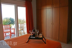 The Olive Branch Villa_best prices_in_Villa_Dodekanessos Islands_Kos_Kos Rest Areas