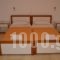 Lambrakis Studios & Apartments_best deals_Apartment_Ionian Islands_Kefalonia_Vlachata