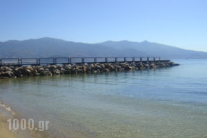 Karagianni_best deals_Hotel_Thessaly_Magnesia_Pilio Area