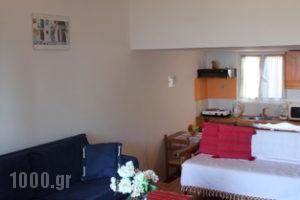 Theodosia Studios_lowest prices_in_Apartment_Crete_Chania_Akrotiri