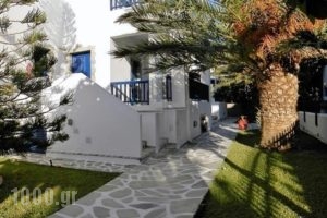 Villa Dora Studios 2_accommodation_in_Villa_Cyclades Islands_Andros_Batsi