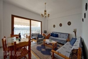 Theodoras House Overlooking Valtos_holidays_in_Room_Epirus_Preveza_Parga