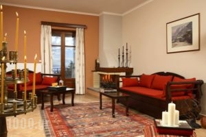 Ef Studios & Suites_best deals_Apartment_Central Greece_Viotia_Arachova