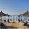 Blue Dolphin Hotel_best prices_in_Hotel_Macedonia_Halkidiki_Kassandreia