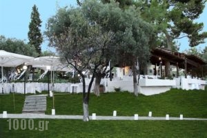 Trikorfo Beach_best prices_in_Apartment_Macedonia_Halkidiki_Poligyros