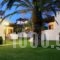 Trikorfo Beach_best deals_Apartment_Macedonia_Halkidiki_Poligyros