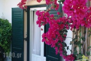 Grivas Apartments_best prices_in_Apartment_Ionian Islands_Lefkada_Sivota
