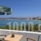 Kalypso Hotel_best deals_Hotel_Cyclades Islands_Paros_Piso Livadi